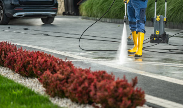 Professional Pressure Washing Services in Elmwood Park, IL